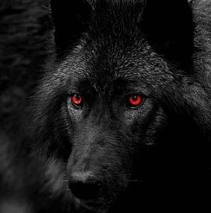 Meet your Posher, Christian